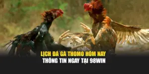 Lịch Đá Gà Thomo Hôm Nay - Thông Tin Ngay Tại 98WIN