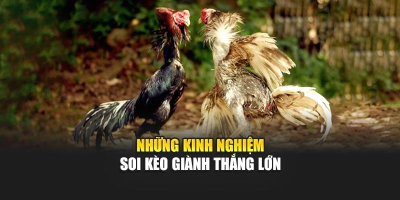 Những kinh nghiệm soi kèo giành thắng lớn